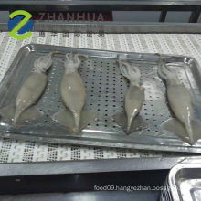 2019 Frozen Illex Squid Argentina IQF Frozen Squid To Philippine
2019 Frozen Illex Squid Argentina IQF Frozen Squid To Philippine